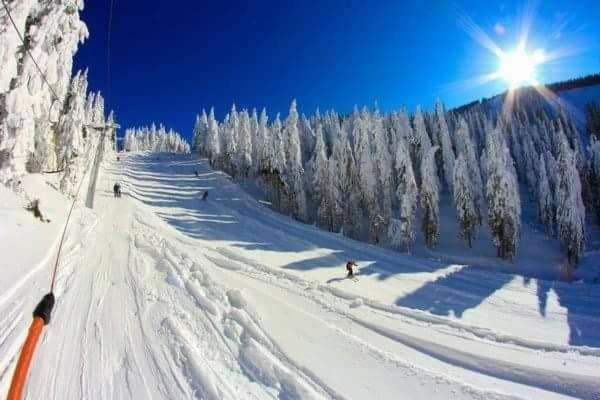 Vila Piricske Pihenohaz Ciceu Exteriér fotografie