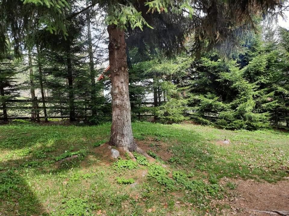 Vila Piricske Pihenohaz Ciceu Exteriér fotografie