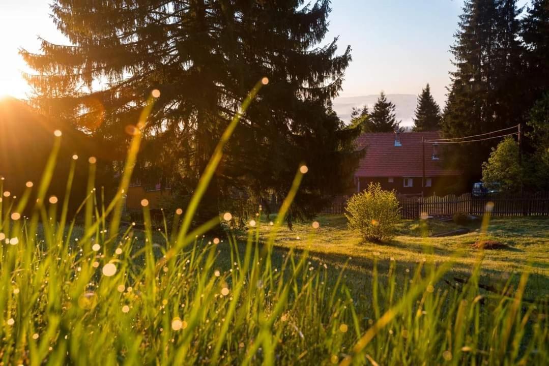 Vila Piricske Pihenohaz Ciceu Exteriér fotografie