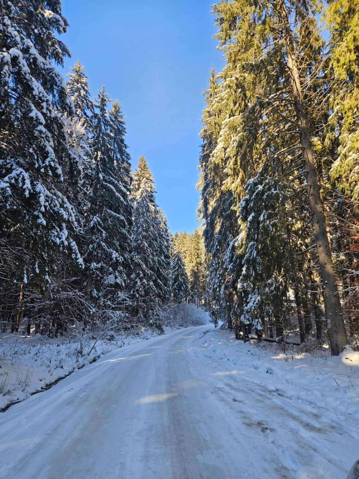 Vila Piricske Pihenohaz Ciceu Exteriér fotografie